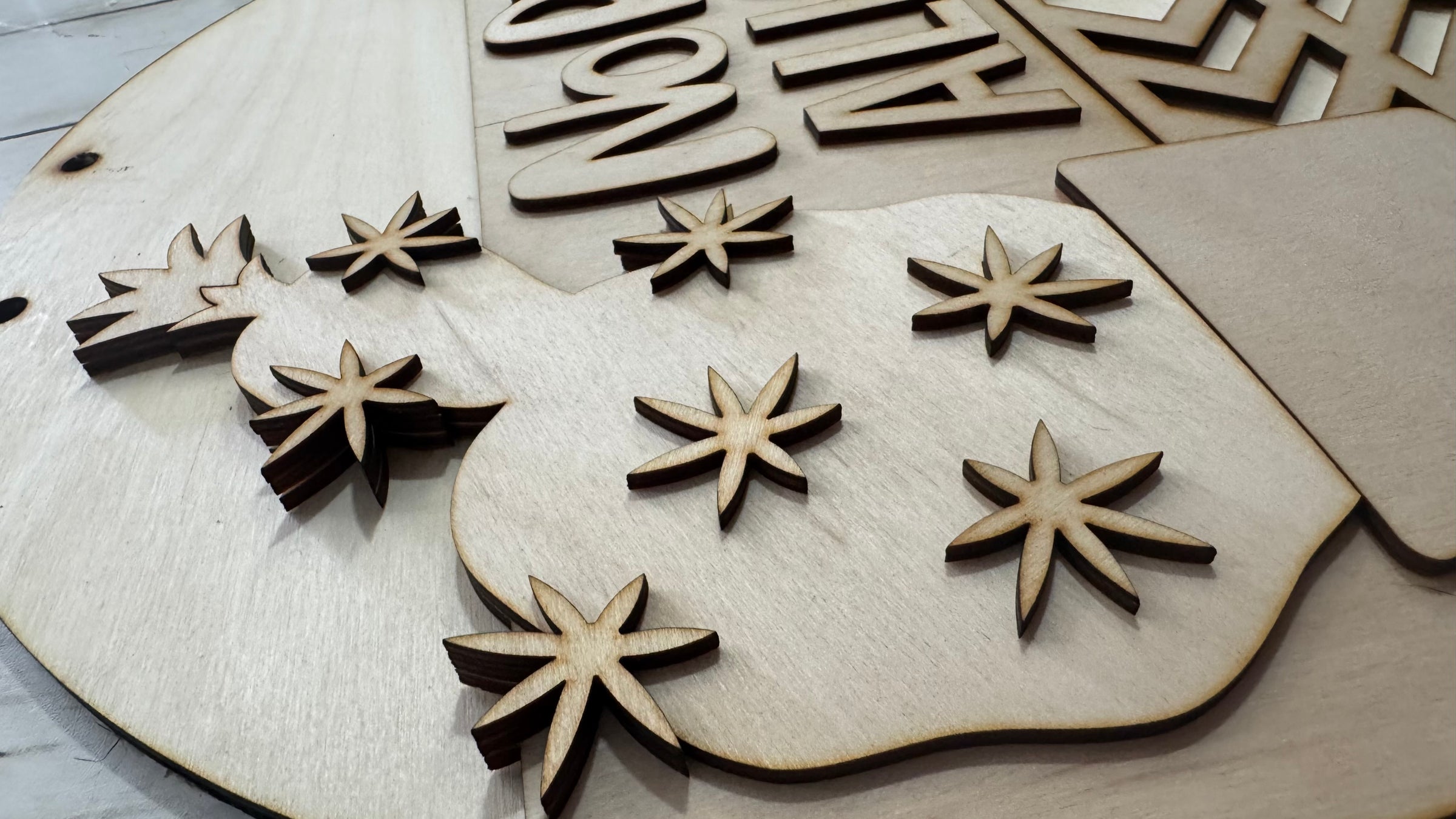 No Pricks Allowed – 3D Layered Wooden Door Hanger Blank