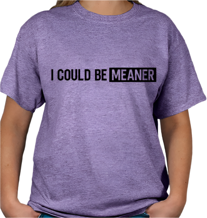 I Could be Meaner T-shirt